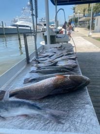 Great day of fishing! Even had a rainbow to start out our trip!