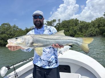 Afternoon Trip was on fire! 