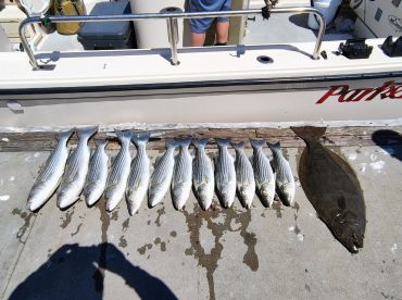 Caught a bunch of fish 