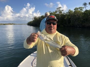 Great day! All artificial!  