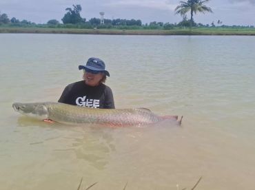 Fishing for arapaima with artificial lures