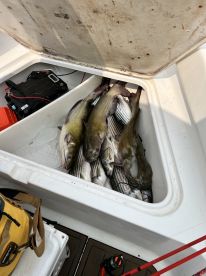 May fishing trip