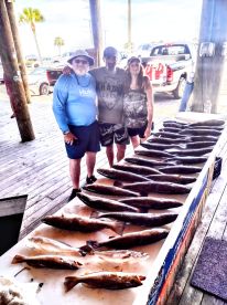 Highly recommend Dustin!