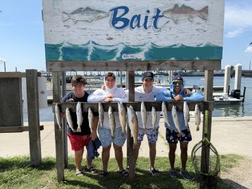 Cap. Randy EXCELLENT