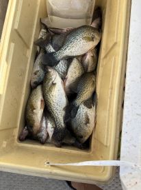 Smacked Em