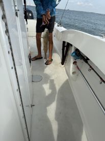 Fantastic Fishing Adventure with Captain CJ!