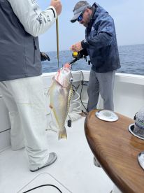 Bachelor party OCMD