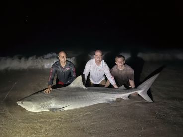 Landed 3 sharks 9 feet plus