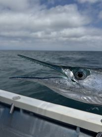 Fishing with Jose Abraham