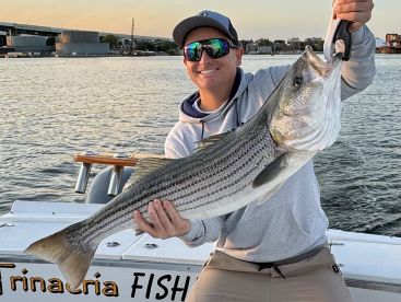 Evening Fish