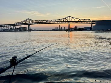 Evening Fish