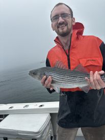 Night time stripers