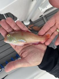 We had an excellent day fishing!