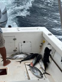 Great day of fishing