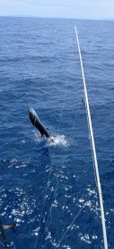 June fishing trip