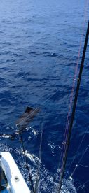 June fishing trip