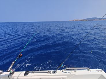 Great Day at Sea with Roberto 