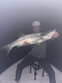 Snook and more\u2026\u2026.