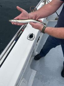 Fish Aran Bay