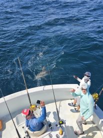 Caught a really big hammerhead