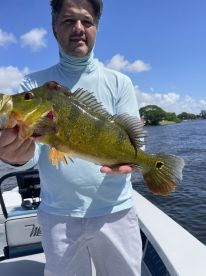 Wonderful Experience 