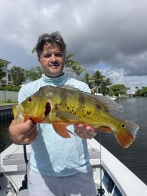 Wonderful Experience 