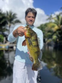 Wonderful Experience 