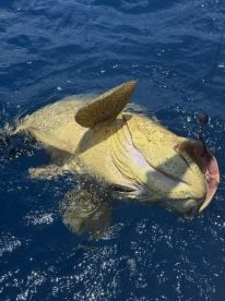 We caught some big ones! 