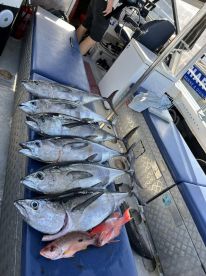 Unforgettable Fishing Tour \u2013 Caught Several Tuna!