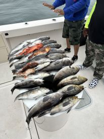 Half Day Trip with Captain Roger