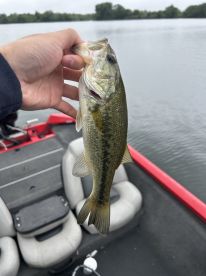 Great trip on a misty cloudy day