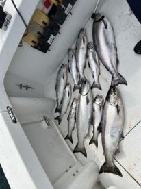 One of the best charter around town!