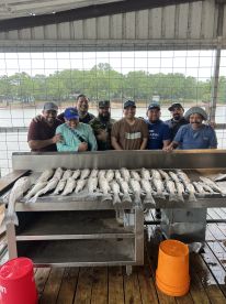 Great fishing guide