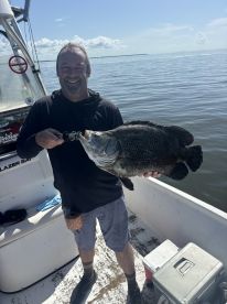 Huge triple tail!