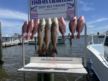 Prolific fishing and catching. 