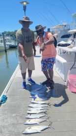 Sailing with Top Notch 