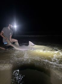 100% Best beach fishing