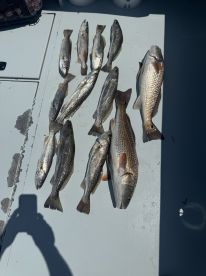 Great Fishing Trip