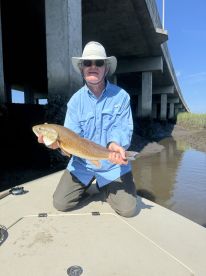 Red fish on a fly