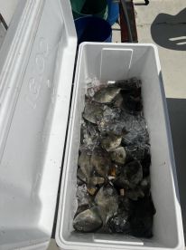 June fishing trip