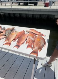 Great Trip !