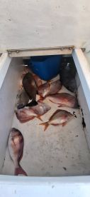 June fishing trip
