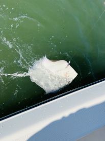 Well Equipped and Knowledgable