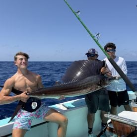 Trip of a Lifetime