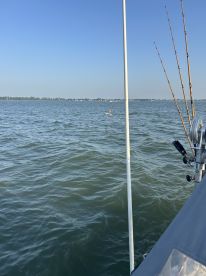 No Pressure Limit Out