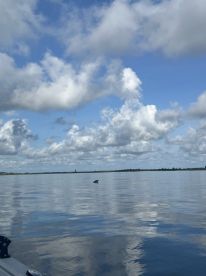 The PERFECT inshore trip! 