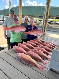 Red snapper