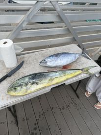 THE TUNA SMACKDOWN