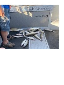 AM Walleye Fishing