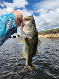 Twisted hook charter review 